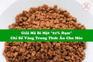 giai-ma-bi-mat-ty-le-dam-trong-thuc-an-cho-meo