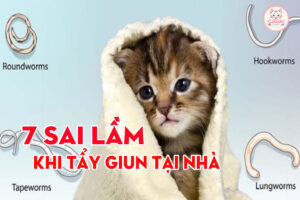 7-sai-lam-khi-tay-giun-tai-nha