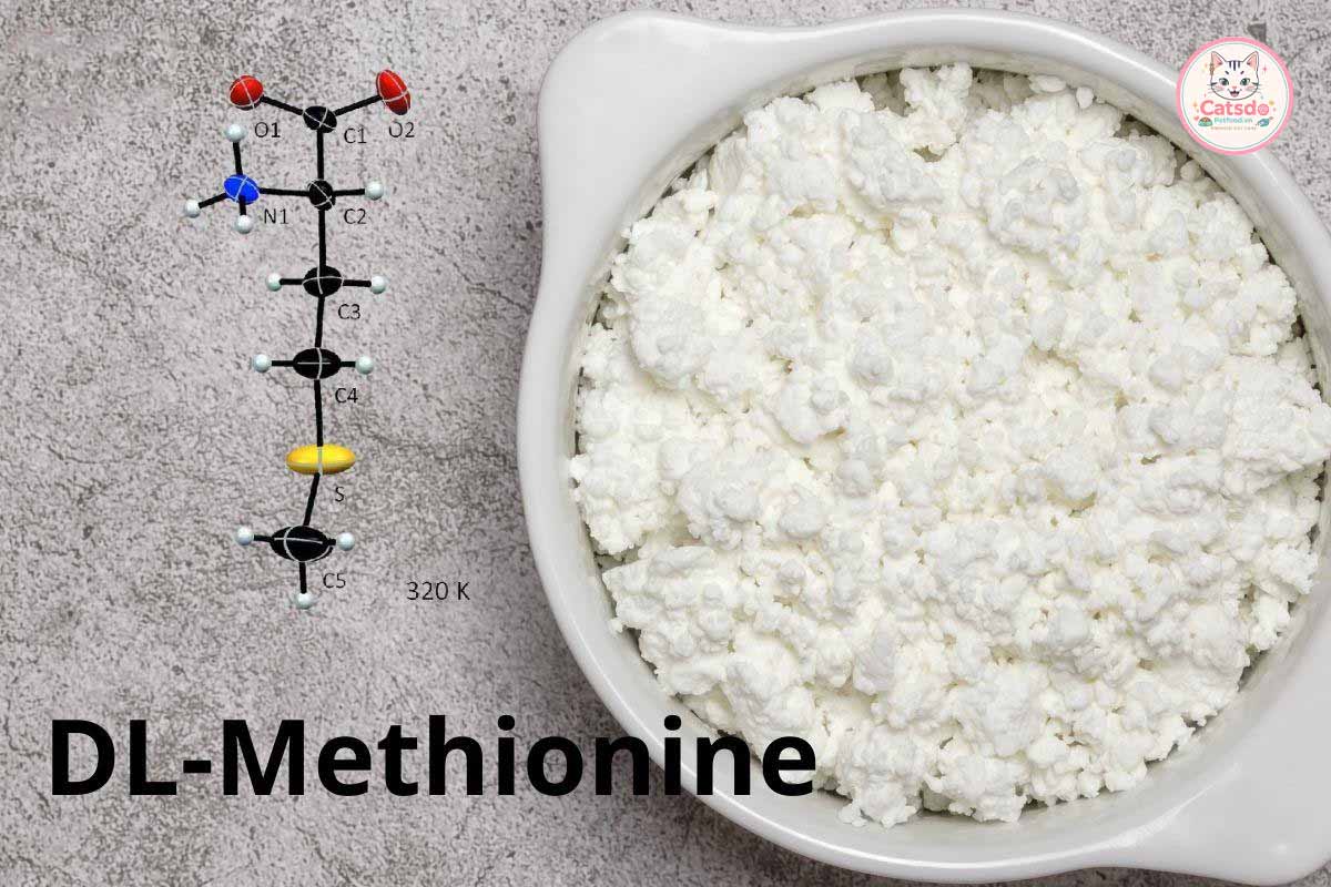 DL-Methionine-bao-ve-he-tiet-nieu-va-da-long