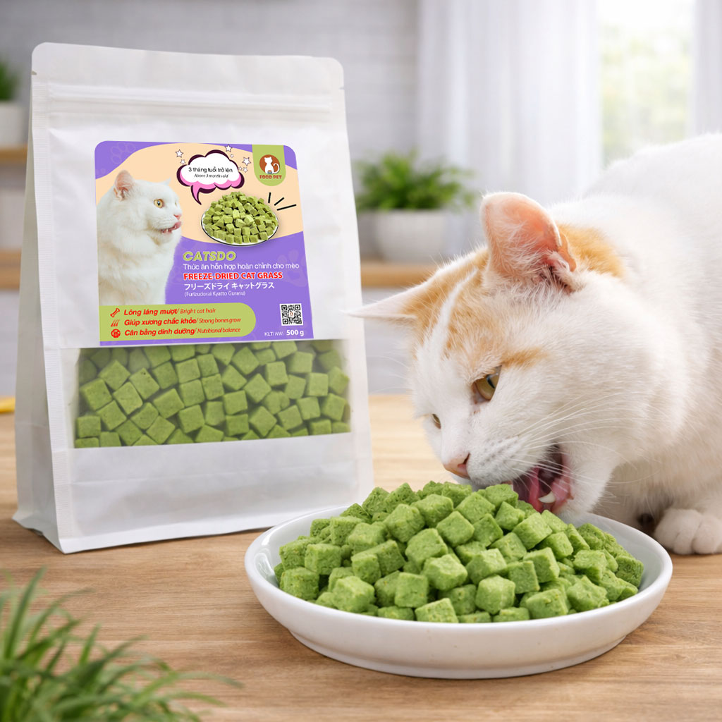 thuc-an-meo-catsdo-co-tuoi-say thuc-an-meo-catsdo-co-tuoi-say