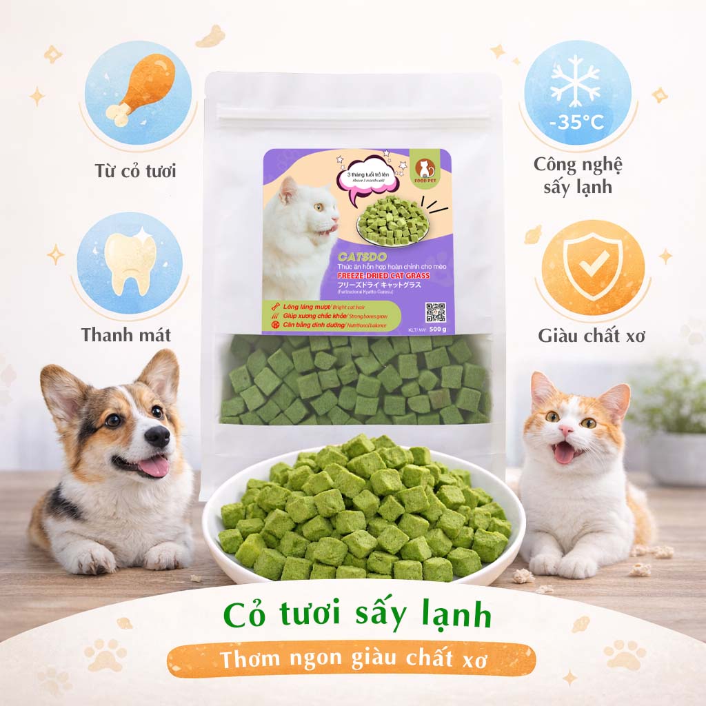 thuc-an-meo-catsdo-co-tuoi-say thuc-an-meo-catsdo-co-tuoi-say