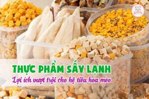 thực phẩm sấy lạnh tốt cho hệ tiêu hóa mèo
